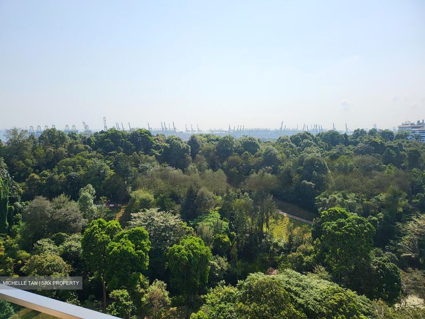 Normanton Park (D5), Apartment #482558501